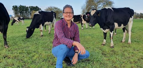 Research to toilet train cows aims for positive environmental impact